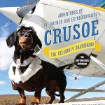 wiener extraordinaire