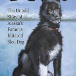 Sled Dog Hero: BALTO the Husky • MostWantedCreatures 71OSY9FqsSL. SL1360