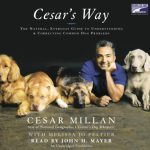 Cesar Millan's Dog: DADDY Pit Bull Dog Whisperer • MostWantedCreatures 81iMiBMX5VL. SL1500