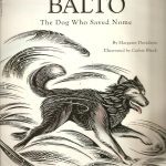 Sled Dog Hero: BALTO the Husky • MostWantedCreatures 91DubRa3ztL. SL1500