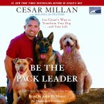 Cesar Millan's Dog: DADDY Pit Bull Dog Whisperer • MostWantedCreatures 91EHwjKrzOL. SL1500