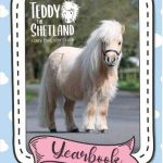 Viral Shetland Pony: TEDDY THE SHETLAND • MostWantedCreatures 41TQXMulQ7L